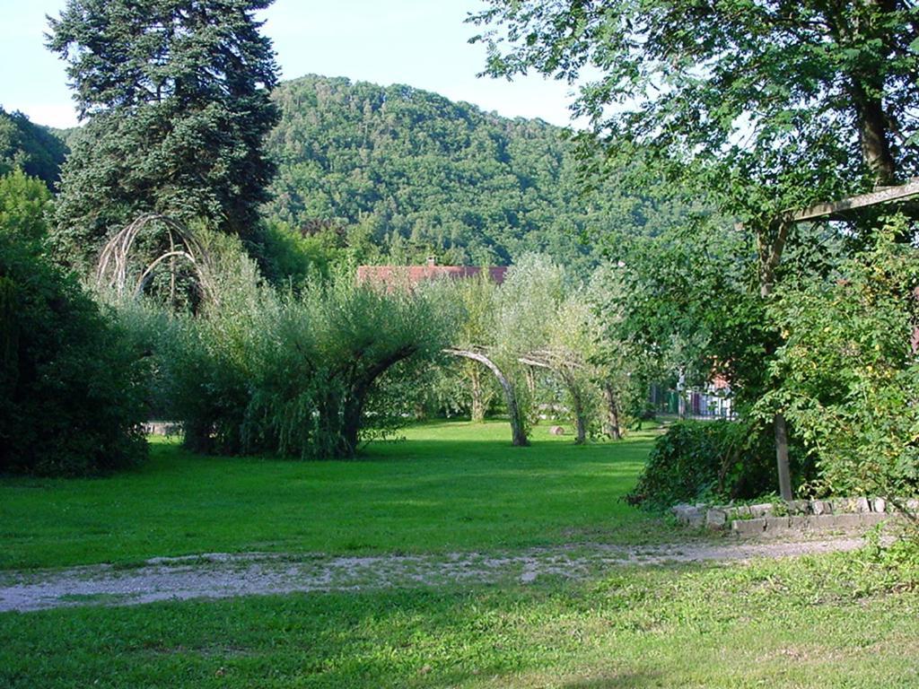 Chambres D'Hotes " Le Magnolia " (Adults Only) Sainte-Croix-aux-Mines Eksteriør bilde